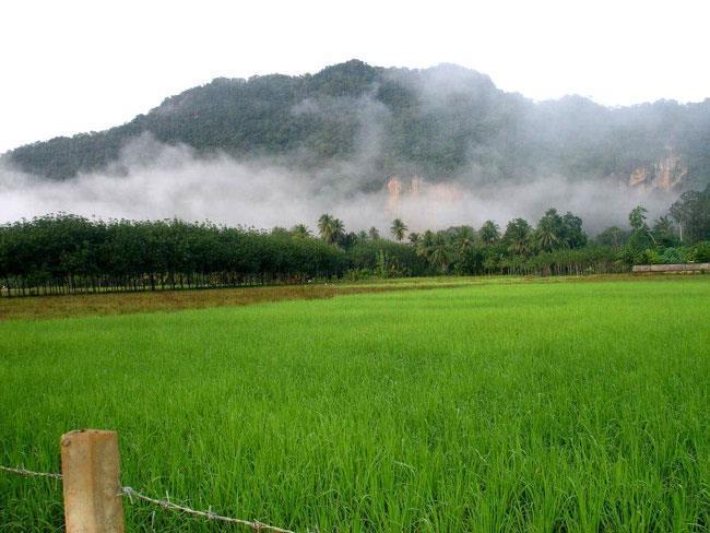 Naris Phuview Resort Satun Exteriér fotografie